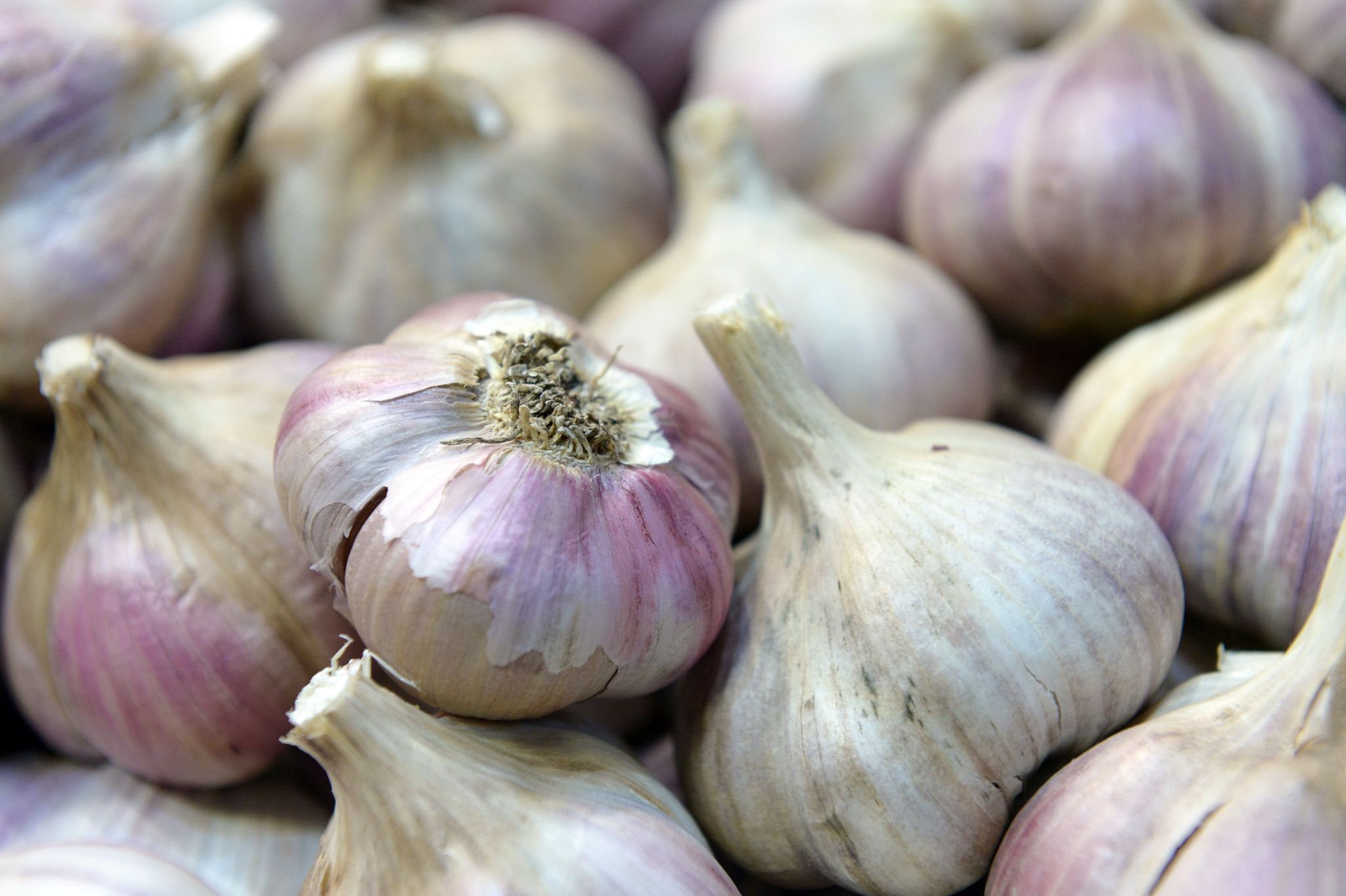 Knoblauch-Kauf: Nahes Herkunftsland ist besser