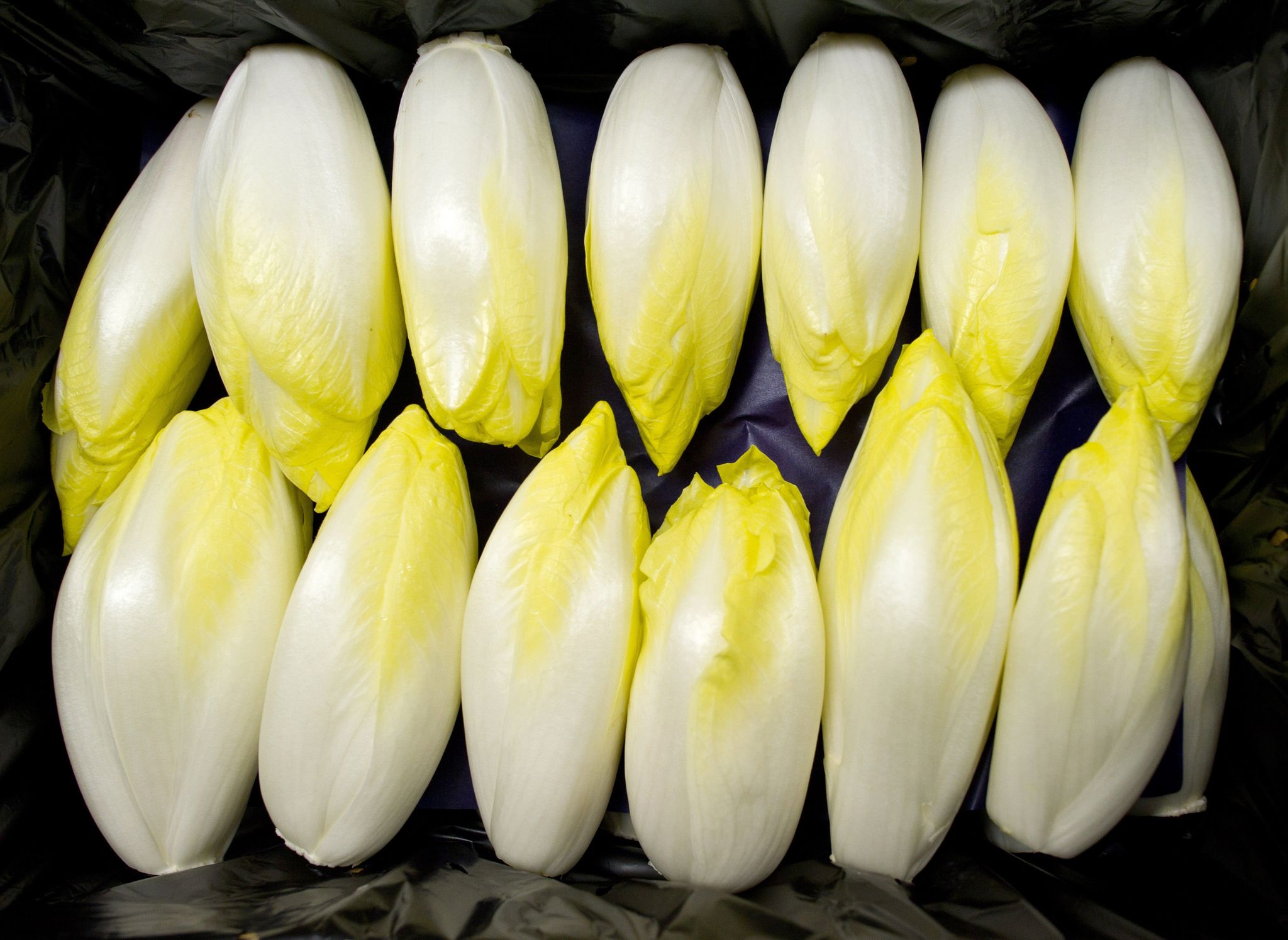 Chicorée und Co.: So schmeckt das Bittere milder